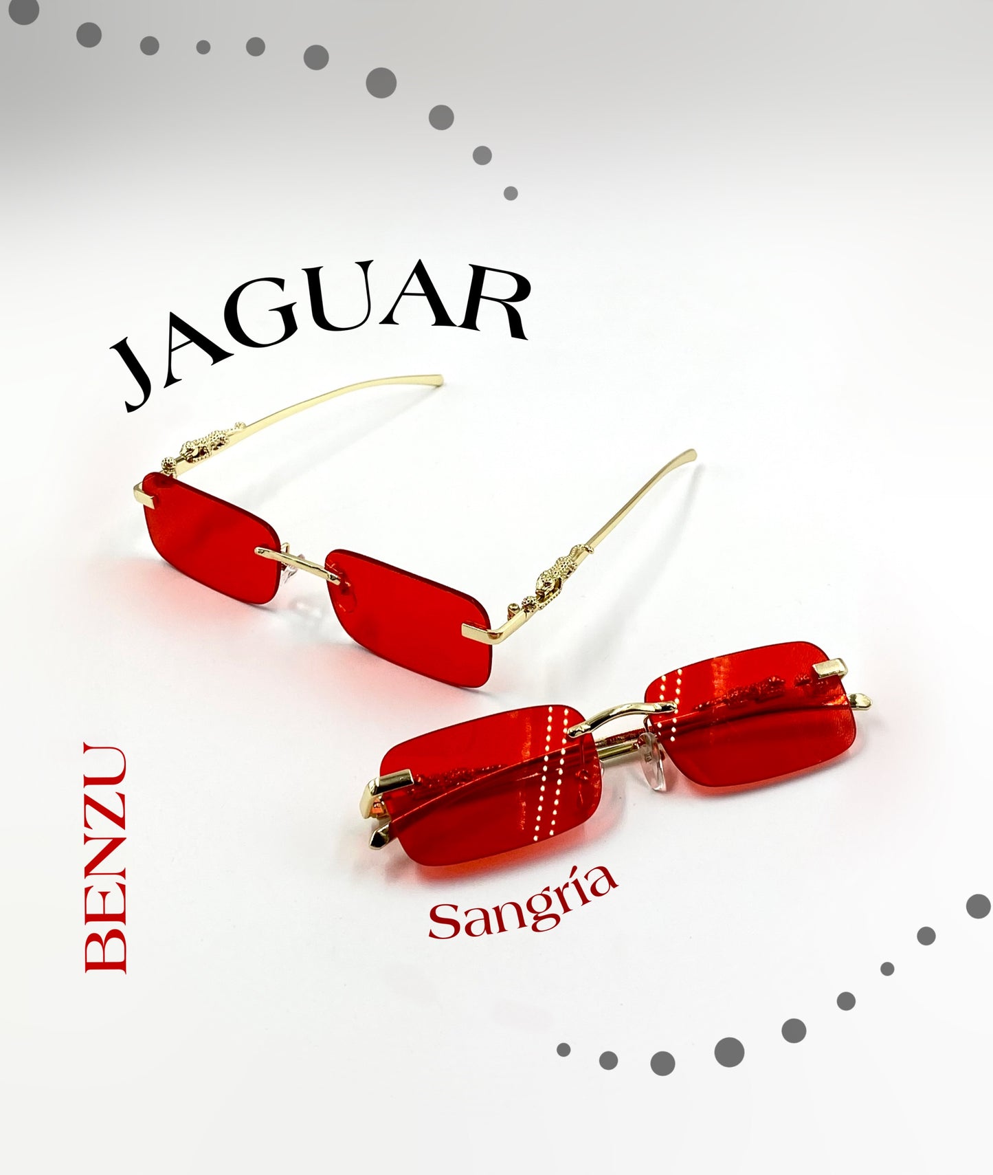 Gafas Jaguar
