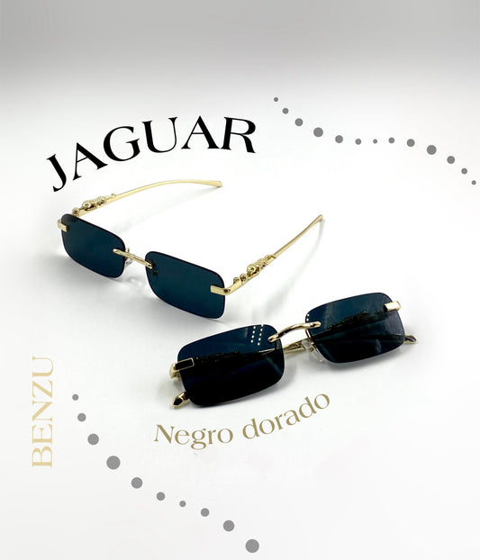 Gafas Jaguar
